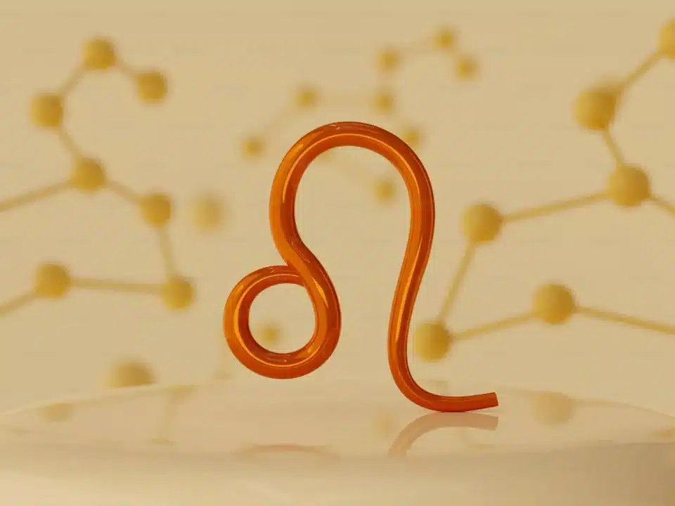 20250731 023353